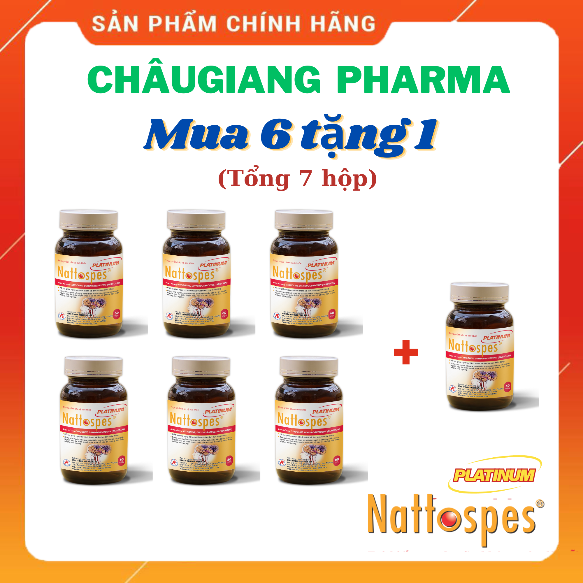 IGVPL MUA 6 TẶNG 1.png